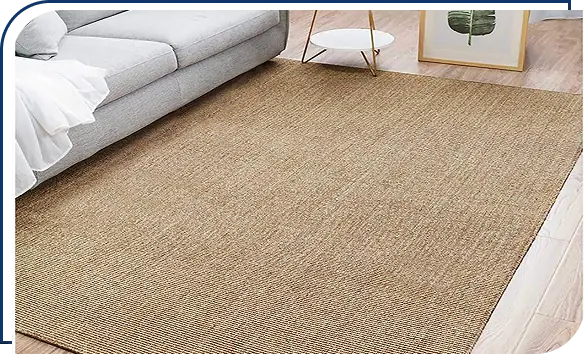 Living Room Sisal carpet